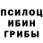 Галлюциногенные грибы мицелий Like Summer