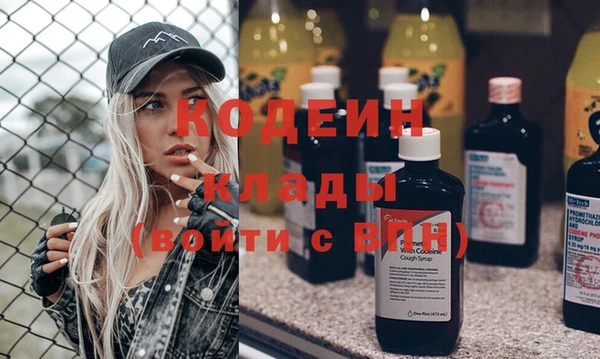 эйфоретик Алзамай