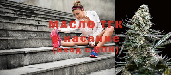 крисы Аркадак