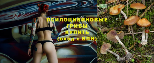 метадон Костерёво